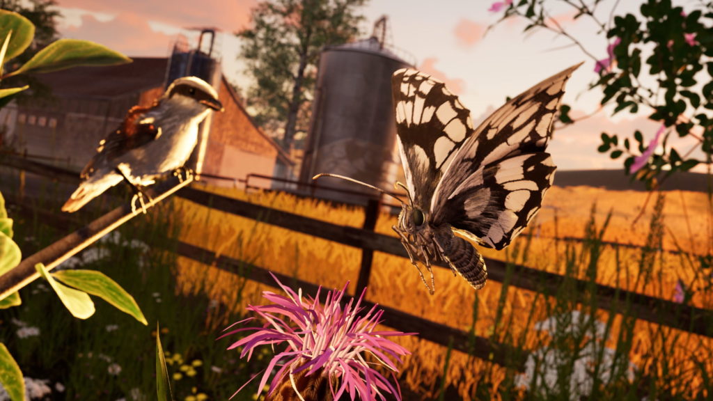 Vr Bird Butterfly_Screenshot_02_4k | Birdly VR